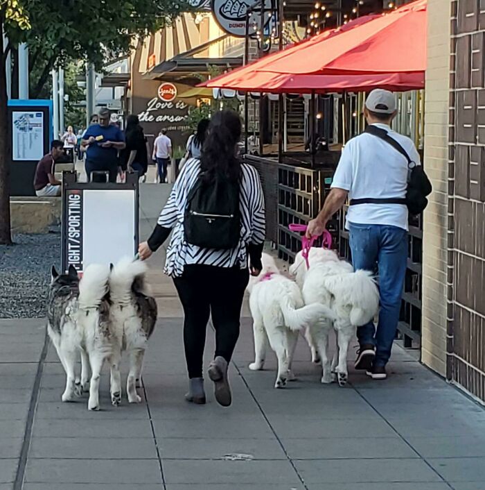 50 Animal Glitches In The Matrix That Might Freak You Out 50 Animal Glitches In The Matrix That Might Freak You Out