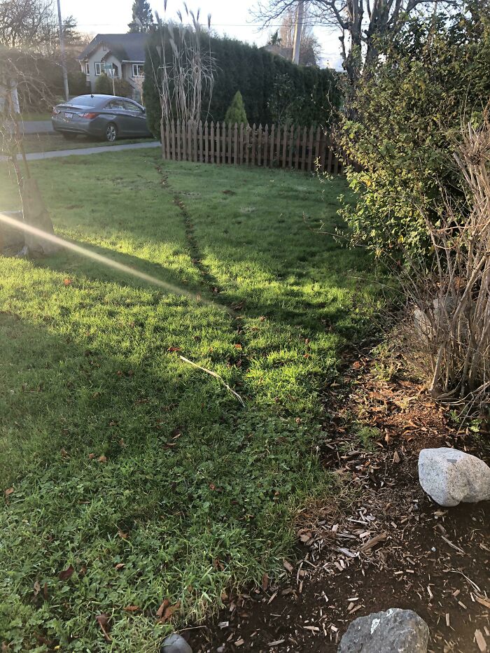 50 Times City Architects Failed To Understand People’s Needs, And It Resulted In These ‘Desire Paths’ Appearing Around The City 50 Times City Architects Failed To Understand People’s Needs, And It Resulted In These ‘Desire Paths’ Appearing Around The City