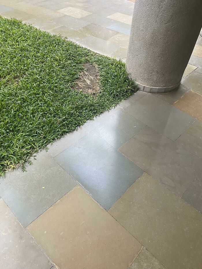 50 Times City Architects Failed To Understand People’s Needs, And It Resulted In These ‘Desire Paths’ Appearing Around The City 50 Times City Architects Failed To Understand People’s Needs, And It Resulted In These ‘Desire Paths’ Appearing Around The City