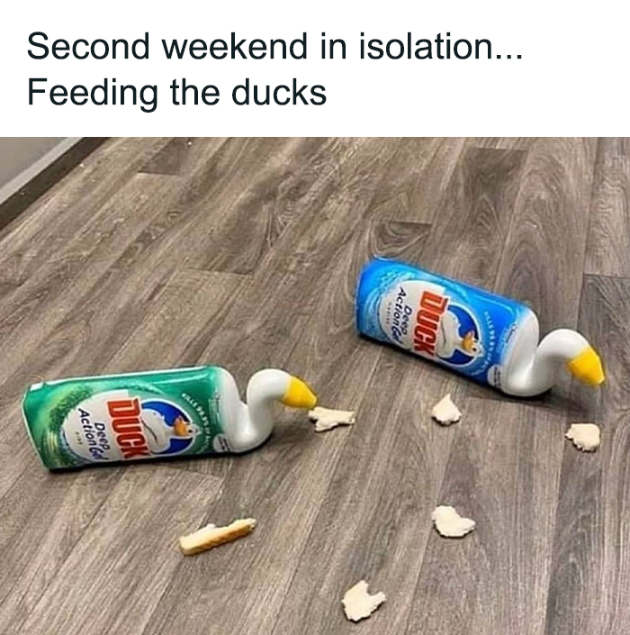 “Britain Relatable”: 40 Funny British Memes To Crack You Up