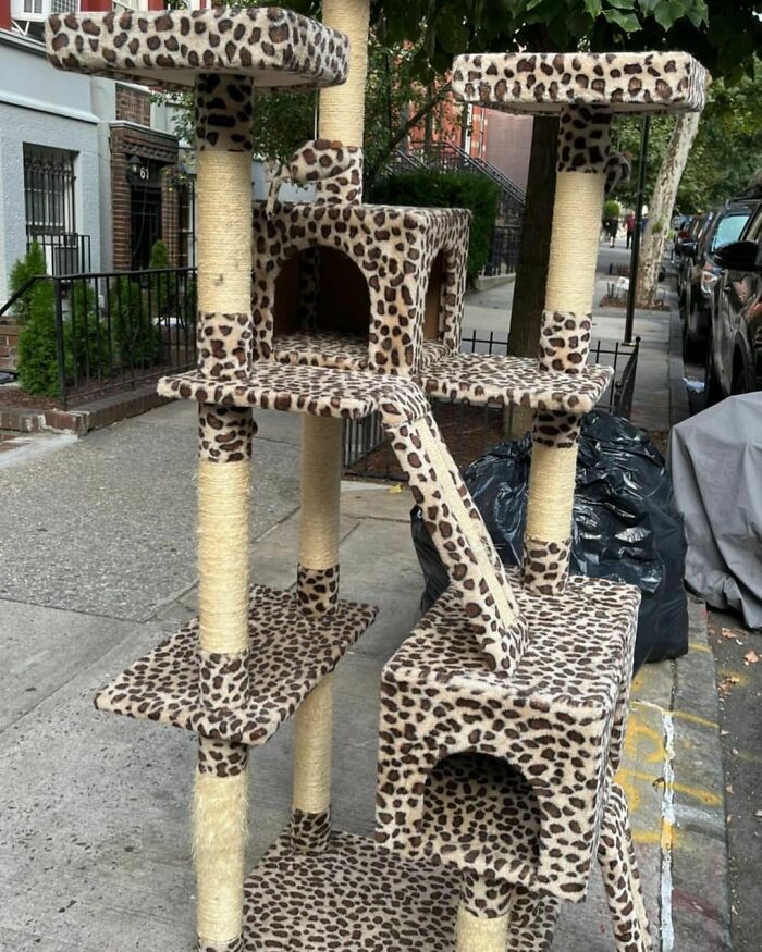 People Share What They Found Thrown Away, And The Phrase ‘One Man’s Trash Is Another Man’s Treasure’ Has Never Been So Real (40 New Pics) People Share What They Found Thrown Away, And The Phrase ‘One Man’s Trash Is Another Man’s Treasure’ Has Never Been So Real (40 New Pics)