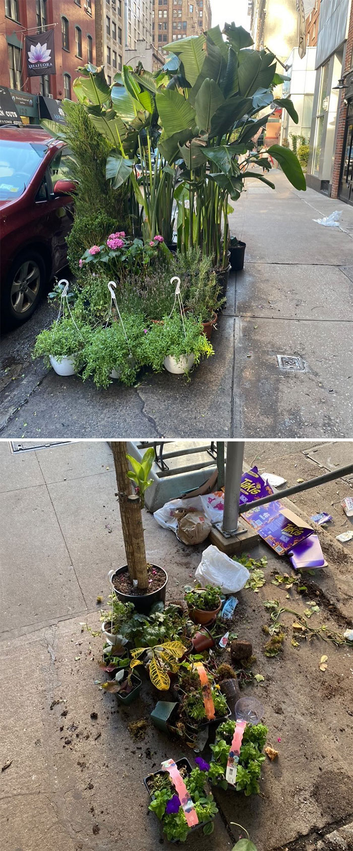 People Share What They Found Thrown Away, And The Phrase ‘One Man’s Trash Is Another Man’s Treasure’ Has Never Been So Real (40 New Pics) People Share What They Found Thrown Away, And The Phrase ‘One Man’s Trash Is Another Man’s Treasure’ Has Never Been So Real (40 New Pics)