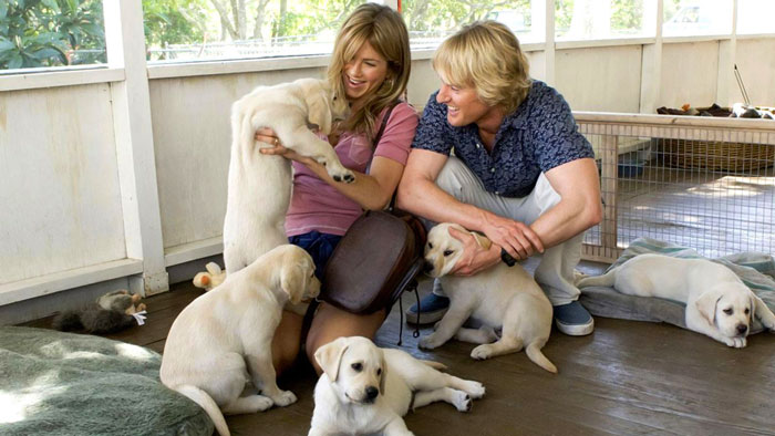 50 Romantic Ideas And Surprises That Your Loved One Will Cherish Forever 50 Romantic Ideas And Surprises That Your Loved One Will Cherish Forever