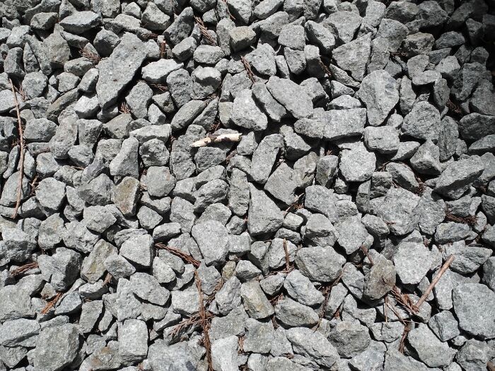 30 Folks Online Recall Their First-Ever Memories, Whether Fond Or Not 30 Folks Online Recall Their First-Ever Memories, Whether Fond Or Not