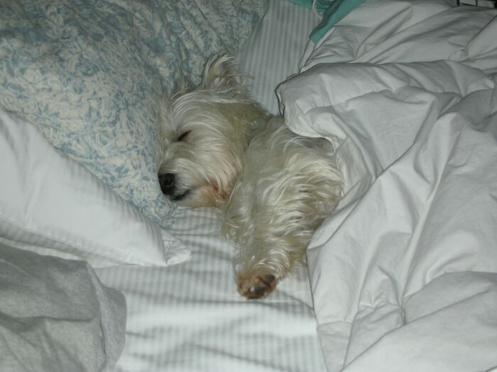 30 Folks Online Recall Their First-Ever Memories, Whether Fond Or Not 30 Folks Online Recall Their First-Ever Memories, Whether Fond Or Not