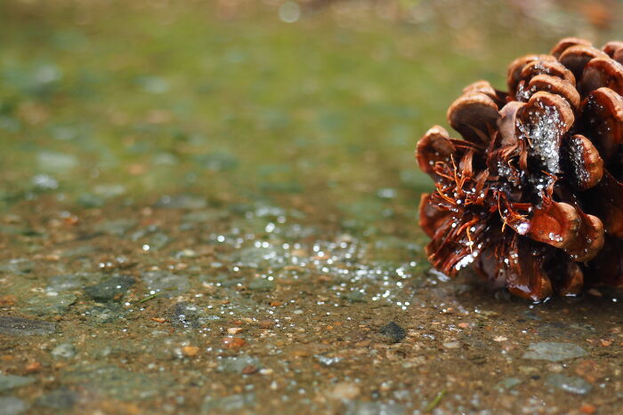 Hey Pandas, Show A Photo You’ve Always Wanted To Share, But No Challenge Has Fit Its Story (Closed) Hey Pandas, Show A Photo You’ve Always Wanted To Share, But No Challenge Has Fit Its Story (Closed)