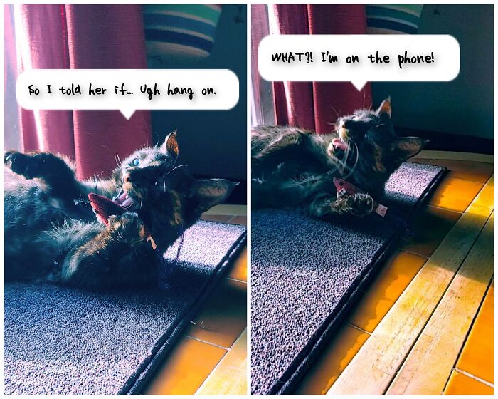 Hey Pandas, Show A Photo You’ve Always Wanted To Share, But No Challenge Has Fit Its Story (Closed) Hey Pandas, Show A Photo You’ve Always Wanted To Share, But No Challenge Has Fit Its Story (Closed)