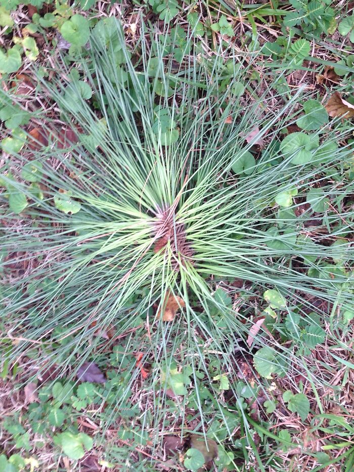 Hey Pandas, Show A Photo You’ve Always Wanted To Share, But No Challenge Has Fit Its Story (Closed) Hey Pandas, Show A Photo You’ve Always Wanted To Share, But No Challenge Has Fit Its Story (Closed)