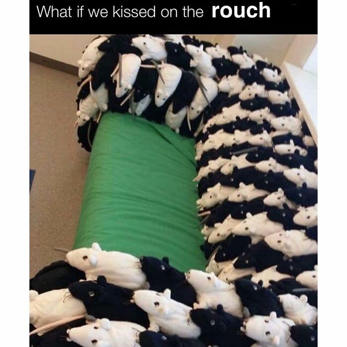 Hey Pandas, Show A Photo You’ve Always Wanted To Share, But No Challenge Has Fit Its Story (Closed) Hey Pandas, Show A Photo You’ve Always Wanted To Share, But No Challenge Has Fit Its Story (Closed)