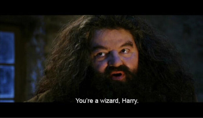 Hey Pandas, Post A Picture Of Your Favorite Hagrid Scene From Harry Potter In Honor Of Robby Coltrane (Closed) Hey Pandas, Post A Picture Of Your Favorite Hagrid Scene From Harry Potter In Honor Of Robby Coltrane (Closed)