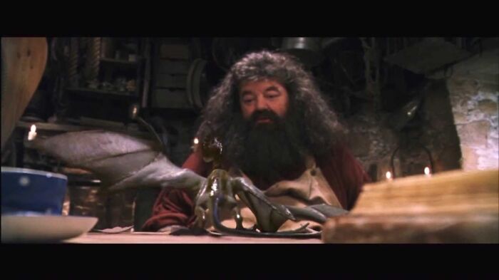 Hey Pandas, Post A Picture Of Your Favorite Hagrid Scene From Harry Potter In Honor Of Robby Coltrane (Closed) Hey Pandas, Post A Picture Of Your Favorite Hagrid Scene From Harry Potter In Honor Of Robby Coltrane (Closed)