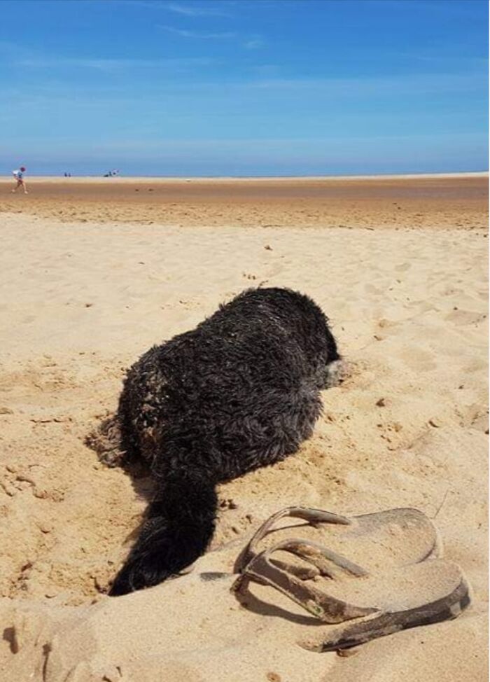 Hey Pandas, Share Your Phone’s Lock Screen Picture (Closed) Hey Pandas, Share Your Phone’s Lock Screen Picture (Closed)