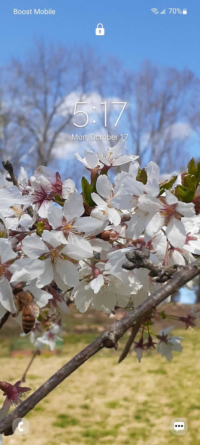 Hey Pandas, Share Your Phone’s Lock Screen Picture (Closed) Hey Pandas, Share Your Phone’s Lock Screen Picture (Closed)