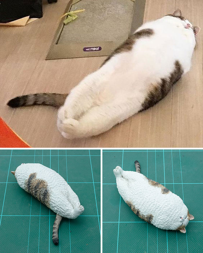 Japanese Artist Turns 40 Iconic Animal Memes Into Sculptures, And It’s Hard To Tell Which Are Funnier (New Pics) Japanese Artist Turns 40 Iconic Animal Memes Into Sculptures, And It’s Hard To Tell Which Are Funnier (New Pics)