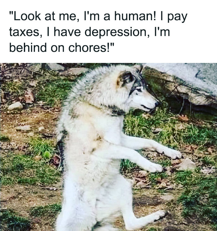 This Instagram Page Is Dedicated To Memes That Should Probably Be Discussed With A Therapist (50 Pics)