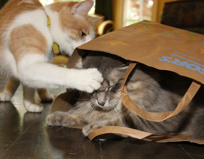 5 Months Pregnant Worker Exposes Her Problematic Boss’ Wish To Slap Her To Literally Everyone In The Workspace, Gets Her Fired 5 Months Pregnant Worker Exposes Her Problematic Boss’ Wish To Slap Her To Literally Everyone In The Workspace, Gets Her Fired