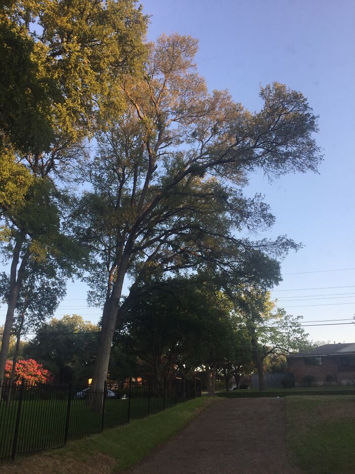 Hey Pandas, Show Me A Picture Of A Place You Find Special (Closed)