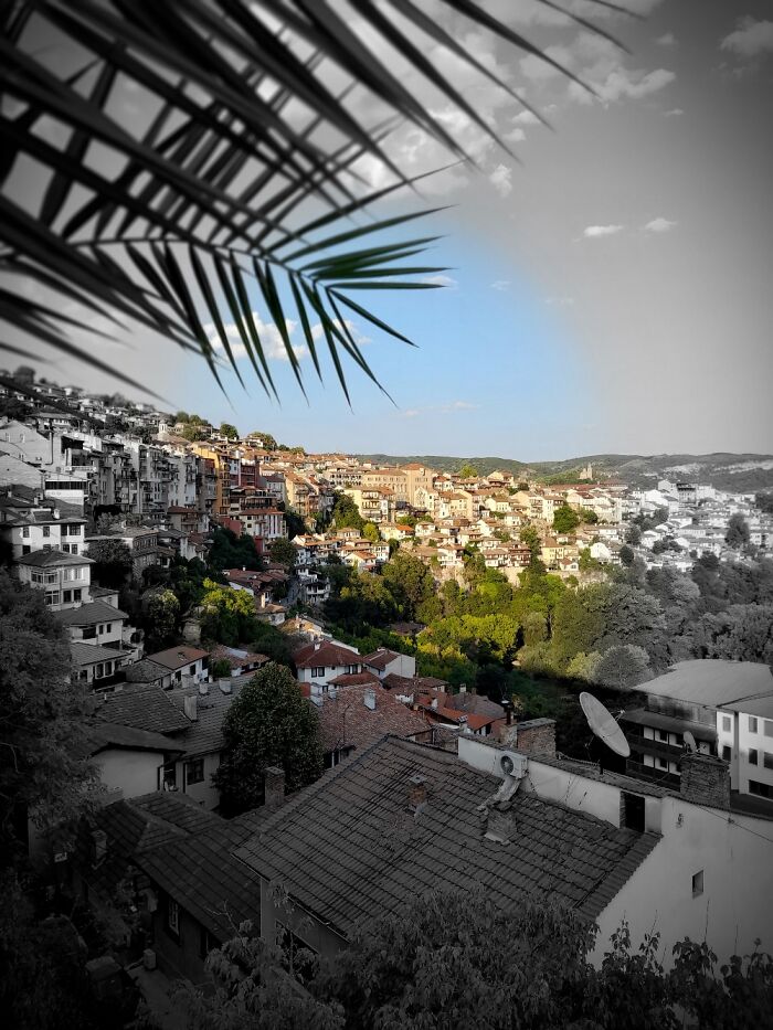 Hey Pandas, Show Me A Picture Of A Place You Find Special (Closed)