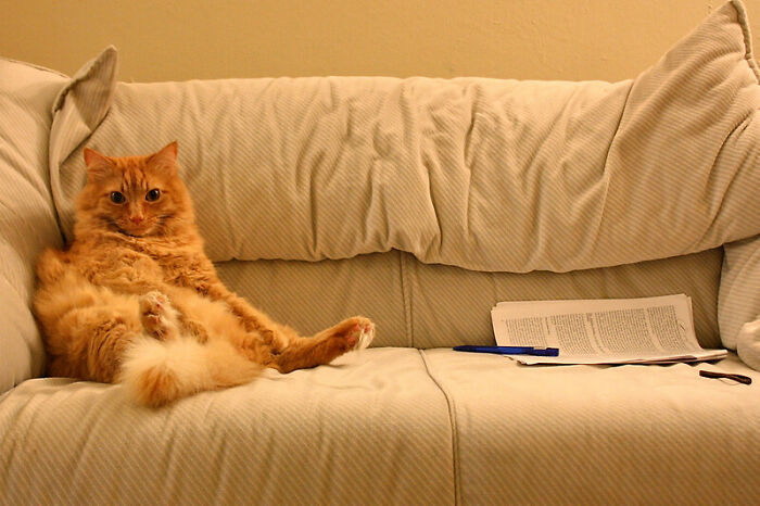 &ldquo;What’s Something That’s Considered Normal That Creeps You Out Immediately?&rdquo; (40 Answers)