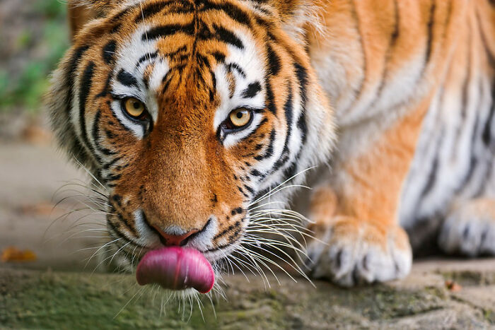 &ldquo;What’s Something That’s Considered Normal That Creeps You Out Immediately?&rdquo; (40 Answers)