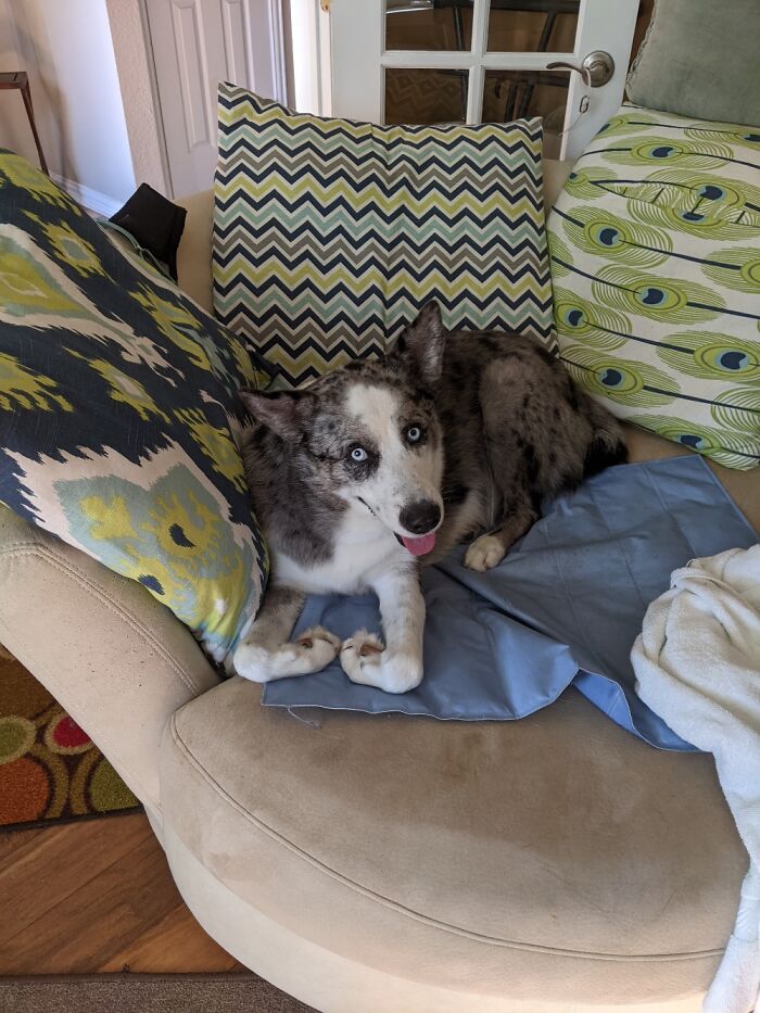 Hey Pandas, Today Is World Smile Day, Post A Pic Of Your Smile (Closed) Hey Pandas, Today Is World Smile Day, Post A Pic Of Your Smile (Closed)