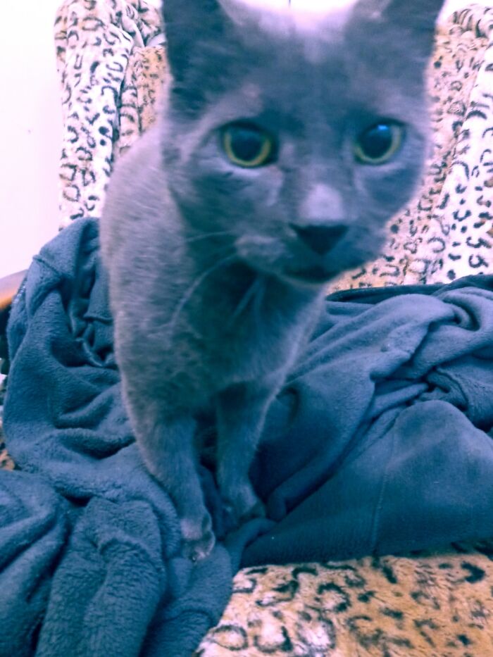 Hey Pandas, Today Is World Smile Day, Post A Pic Of Your Smile (Closed) Hey Pandas, Today Is World Smile Day, Post A Pic Of Your Smile (Closed)