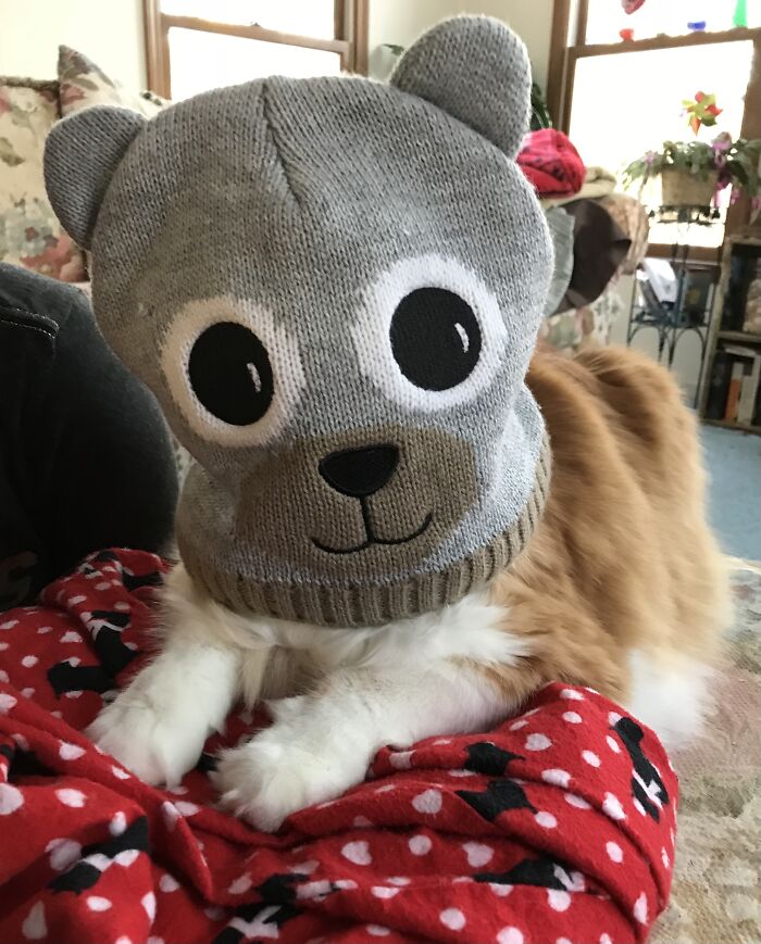 Hey Pandas, Today Is World Smile Day, Post A Pic Of Your Smile (Closed) Hey Pandas, Today Is World Smile Day, Post A Pic Of Your Smile (Closed)