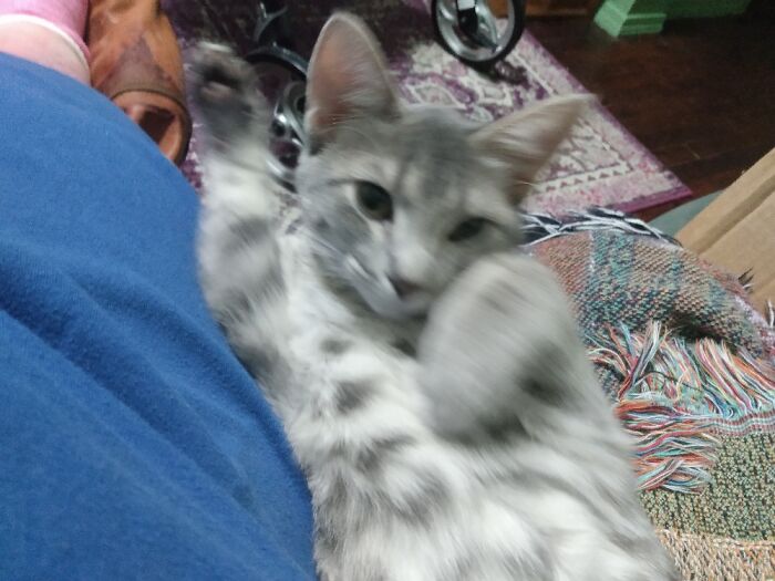 Hey Pandas, Today Is World Smile Day, Post A Pic Of Your Smile (Closed) Hey Pandas, Today Is World Smile Day, Post A Pic Of Your Smile (Closed)