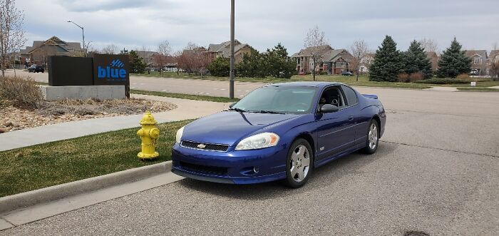 Hey Pandas, Today Is World Smile Day, Post A Pic Of Your Smile (Closed) Hey Pandas, Today Is World Smile Day, Post A Pic Of Your Smile (Closed)