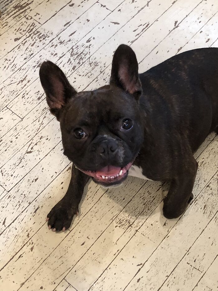 Hey Pandas, Today Is World Smile Day, Post A Pic Of Your Smile (Closed) Hey Pandas, Today Is World Smile Day, Post A Pic Of Your Smile (Closed)