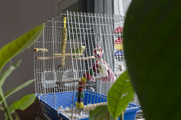 People Who Have To Enter Other People&rsquo;s Houses As Part Of Their Job Share The Most Disturbing Things They&rsquo;ve Seen (30 Answers)