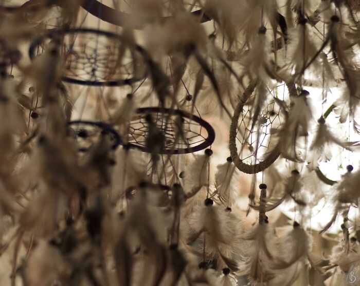 People Who Have To Enter Other People&rsquo;s Houses As Part Of Their Job Share The Most Disturbing Things They&rsquo;ve Seen (30 Answers)