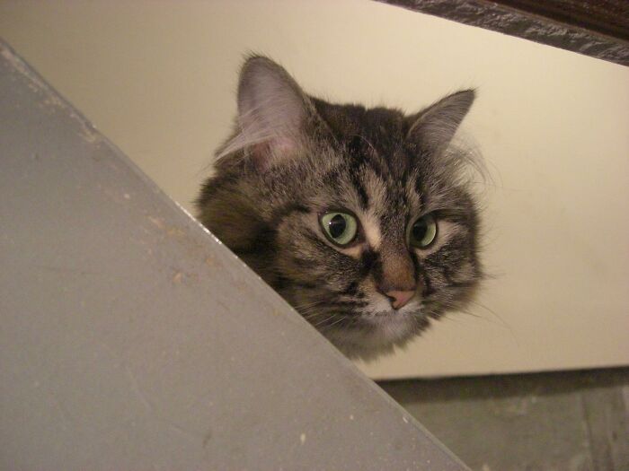 People Who Have To Enter Other People&rsquo;s Houses As Part Of Their Job Share The Most Disturbing Things They&rsquo;ve Seen (30 Answers)