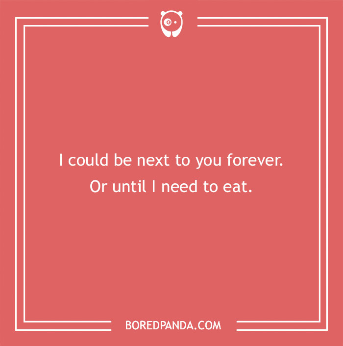 102 Funny Compliments To Share With Someone You Like 102 Funny Compliments To Share With Someone You Like