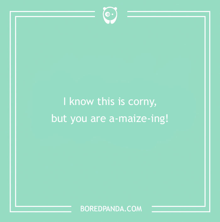 102 Funny Compliments To Share With Someone You Like 102 Funny Compliments To Share With Someone You Like