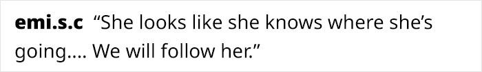 Flock Of Lost Sheep Trots Behind Confused Runner As She Accidentally Becomes Their Leader Flock Of Lost Sheep Trots Behind Confused Runner As She Accidentally Becomes Their Leader