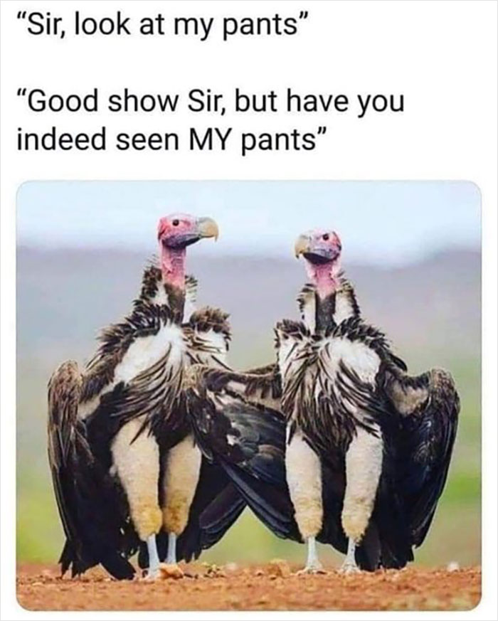 People Are Creating Memes About Nature And All Things Environment, Here Are 35 Of The Best Ones Shared On This Facebook Page People Are Creating Memes About Nature And All Things Environment, Here Are 35 Of The Best Ones Shared On This Facebook Page