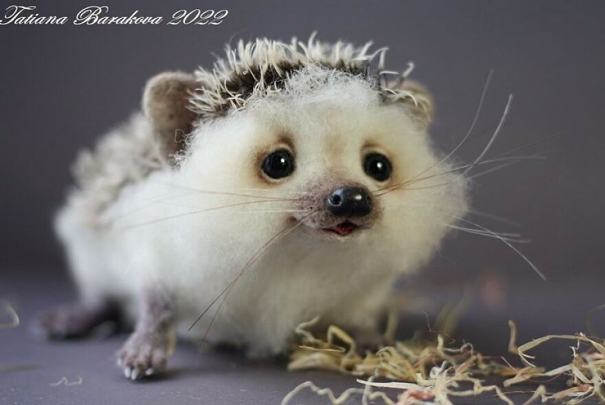 41 Miniature Animal Sculptures From Wool Made By This Artist 41 Miniature Animal Sculptures From Wool Made By This Artist