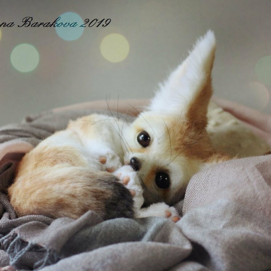 41 Miniature Animal Sculptures From Wool Made By This Artist 41 Miniature Animal Sculptures From Wool Made By This Artist