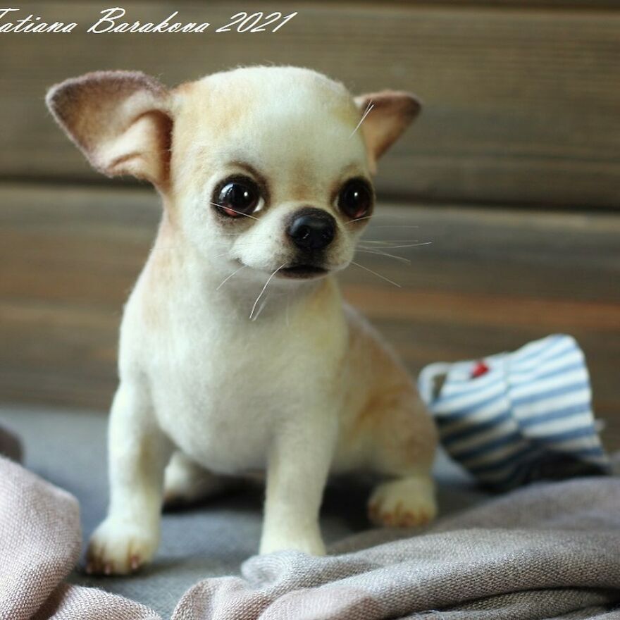 41 Miniature Animal Sculptures From Wool Made By This Artist 41 Miniature Animal Sculptures From Wool Made By This Artist