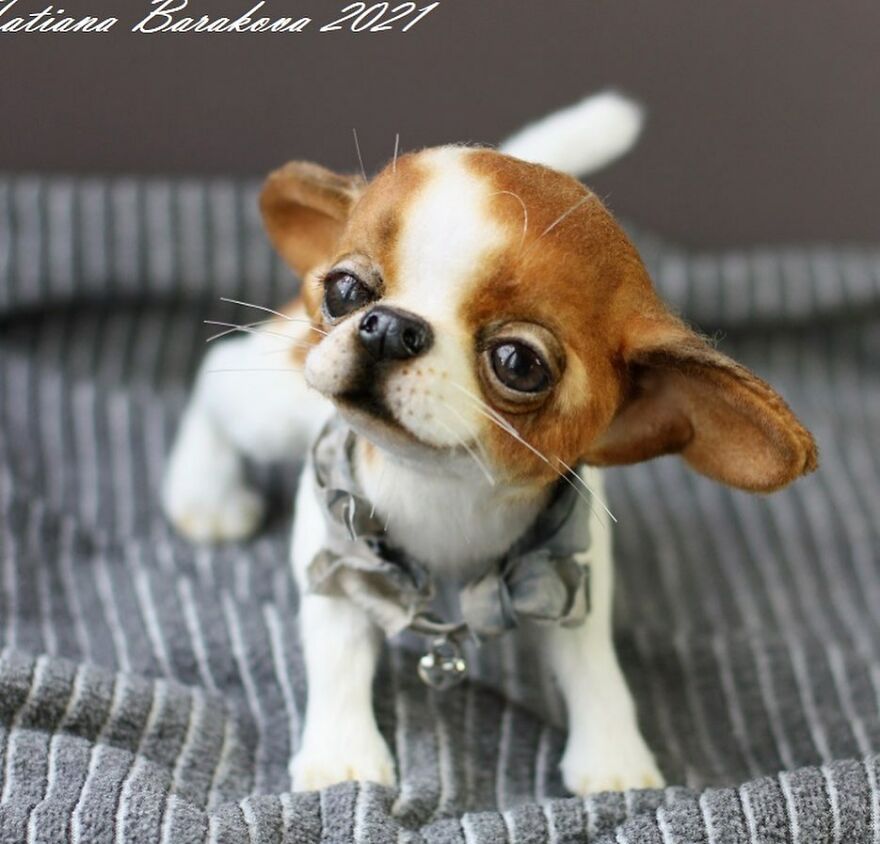 41 Miniature Animal Sculptures From Wool Made By This Artist 41 Miniature Animal Sculptures From Wool Made By This Artist