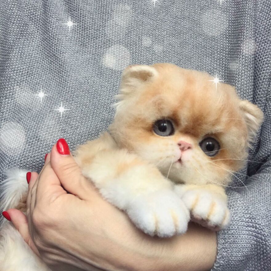 41 Miniature Animal Sculptures From Wool Made By This Artist 41 Miniature Animal Sculptures From Wool Made By This Artist