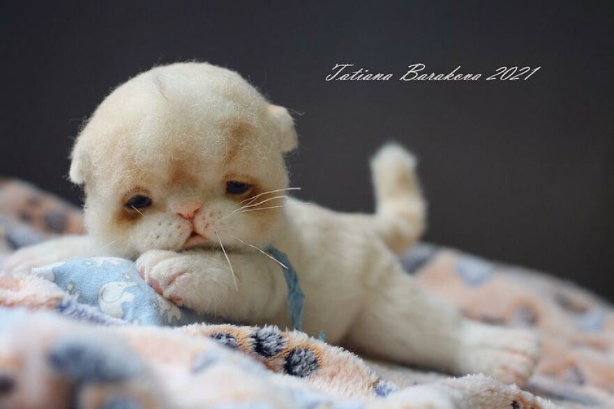 41 Miniature Animal Sculptures From Wool Made By This Artist 41 Miniature Animal Sculptures From Wool Made By This Artist