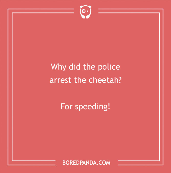 149 Police Jokes That Might Arrest You With Laughter 149 Police Jokes That Might Arrest You With Laughter