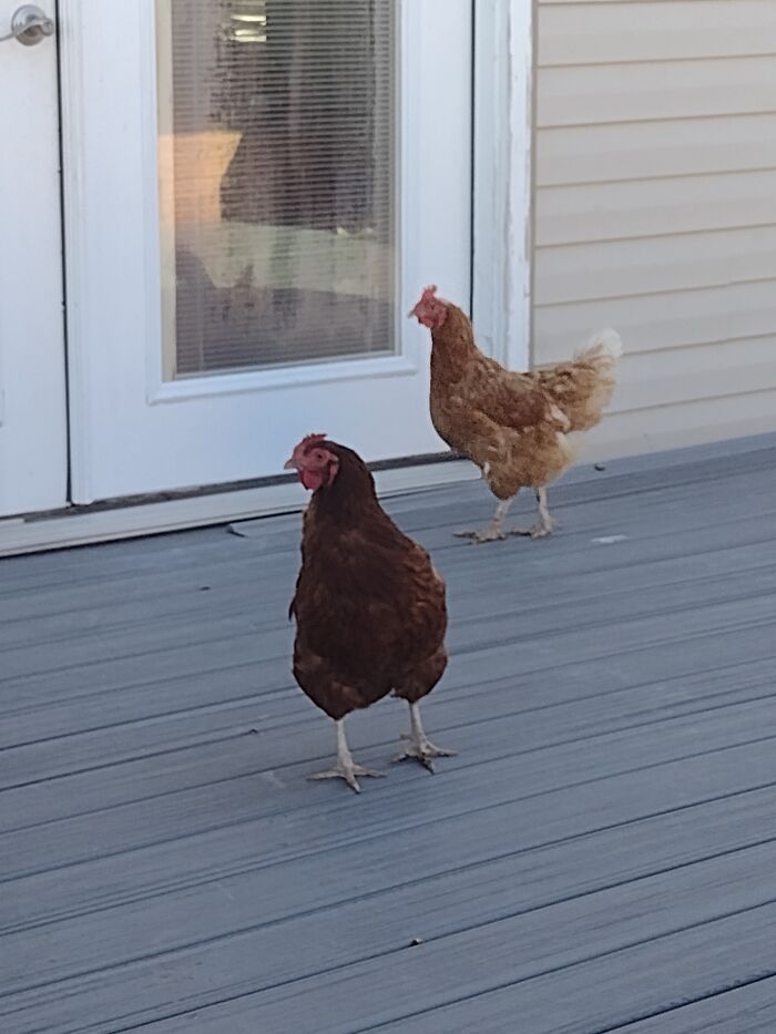 Hey Pandas, Post A Pic That Represents A Perfect Autumn Mood Hey Pandas, Post A Pic That Represents A Perfect Autumn Mood