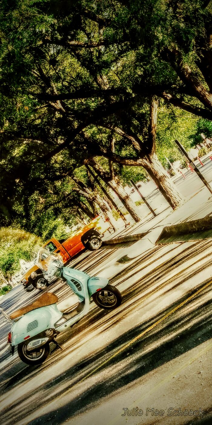 Hey Pandas, Post A Pic That Represents A Perfect Autumn Mood Hey Pandas, Post A Pic That Represents A Perfect Autumn Mood