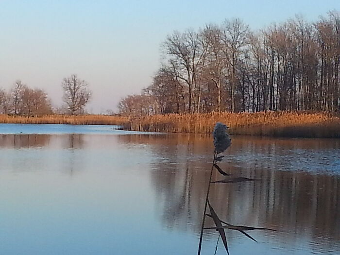 Hey Pandas, Post A Pic That Represents A Perfect Autumn Mood Hey Pandas, Post A Pic That Represents A Perfect Autumn Mood