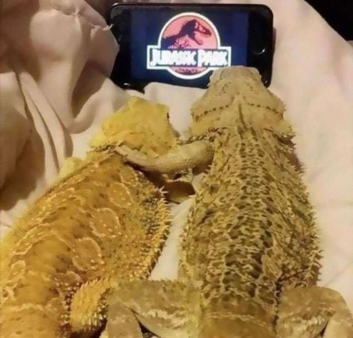 This Instagram Page Is Sharing Cursed Images And Here Are 50 Of The Best Of The Worst Ones