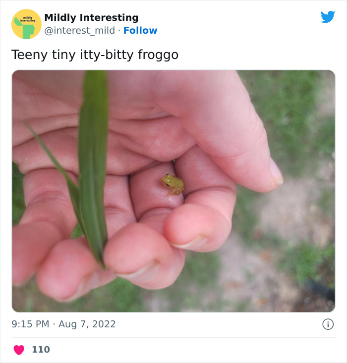 This Twitter Account Posts Things That Are Merely Amusing (40 Pics) This Twitter Account Posts Things That Are Merely Amusing (40 Pics)