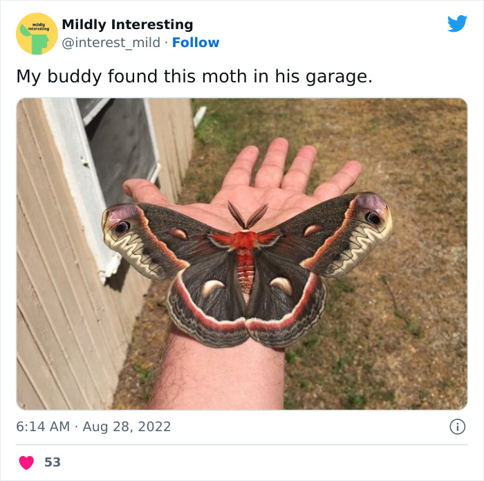 This Twitter Account Posts Things That Are Merely Amusing (40 Pics) This Twitter Account Posts Things That Are Merely Amusing (40 Pics)